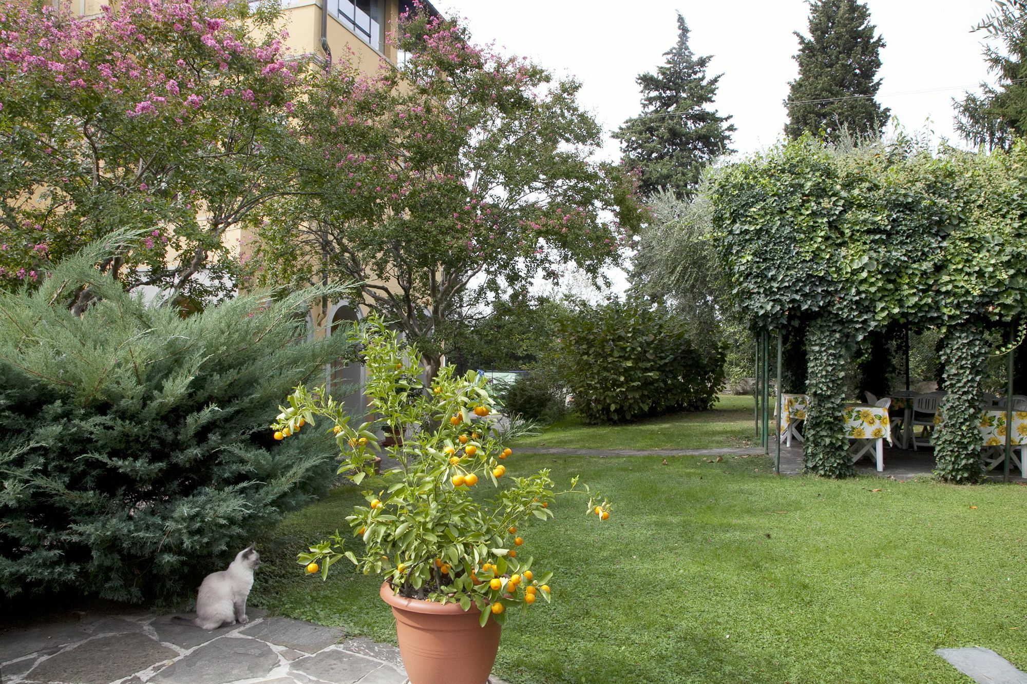 B&B Villa La Sosta Florença Exterior foto